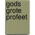 Gods grote profeet