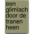 Een glimlach door de tranen heen