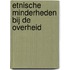 Etnische minderheden bij de overheid