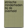 Etnische minderheden bij de overheid by H.M.A.G. Smeets