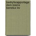 Bedryfsrapportage dsm resins benelux bv