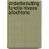 Onderbenutting functie-niveau allochtone