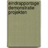Eindrapportage demonstratie projekten