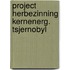 Project herbezinning kernenerg. tsjernobyl