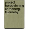 Project herbezinning kernenerg. tsjernobyl door Alwine de Jong