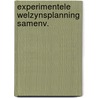 Experimentele welzynsplanning samenv. by Kesteren