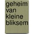 Geheim van kleine bliksem