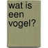 Wat is een vogel?