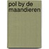 Pol by de maandieren