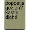 Poppetje gezien? Kastje dicht! by P. Moins