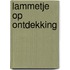 Lammetje op ontdekking