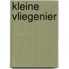Kleine vliegenier door Haag