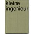 Kleine ingenieur