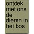 Ontdek met ons de dieren in het bos