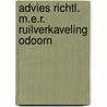 Advies richtl. m.e.r. ruilverkaveling odoorn by Unknown