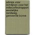 Advies voor richtlijnen voor het milieueffectrapport Westelijke Randweg, gemeente Borne