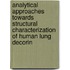 Analytical approaches towards structural characterization of human lung decorin