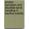 Protein secretion and disulfide bond handling in Bacillus subtilis door T.R.H.M. Kouwen