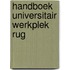 Handboek Universitair Werkplek RUG