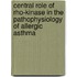 Central role of Rho-kinase in the pathophysiology of allergic asthma
