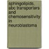 Sphingolipids, ABC transporters and chemosensitivity in neuroblastoma