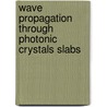 Wave propagation through photonic crystals slabs by C. Shen