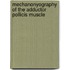 Mechanonyography of the adductor pollicis muscle