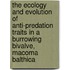 The ecology and evolution of anti-predation traits in a burrowing bivalve, Macoma balthica