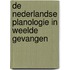 De Nederlandse planologie in weelde gevangen