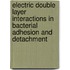 Electric double layer interactions in bacterial adhesion and detachment