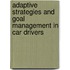 Adaptive strategies and goal management in car drivers