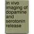 In vivo imaging of dopamine and serotonin release