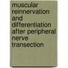 Muscular reinnervation and differentiation after peripheral nerve transection door J.J. Ijkema-paassen