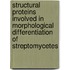 Structural proteins involved in morphological differentiation of streptomycetes