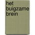 Het buigzame brein