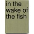 In the wake of the fish