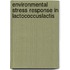 Environmental stress response in Lactococcuslactis