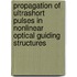Propagation of ultrashort pulses in nonlinear optical guiding structures