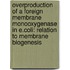 Overproduction of a foreign membrane monooxygenase in E.coli: relation to membrane biogenesis