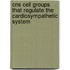 CNS cell groups that regulate the cardiosympathetic system