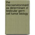 The microenvironment as determinant of testicular germ cell tumor biology