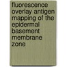 Fluorescence Overlay Antigen Mapping of the epidermal basement membrane zone door S. Bruins