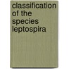 Classification of the species leptospira by Kmety