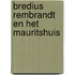 Bredius rembrandt en het mauritshuis