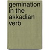 Gemination in the Akkadian verb door N.J.C. Kouwenberg
