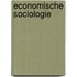 Economische sociologie