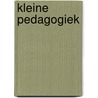 Kleine pedagogiek by R. Lubbers