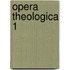 Opera theologica 1