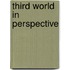 Third world in perspective