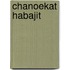 Chanoekat habajit